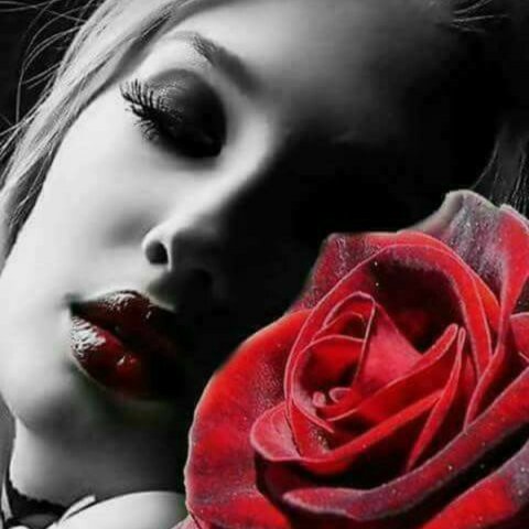 Para Namorar/ Noivar/ Casar