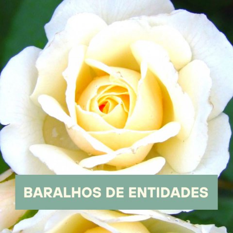 Baralhos de Entidades